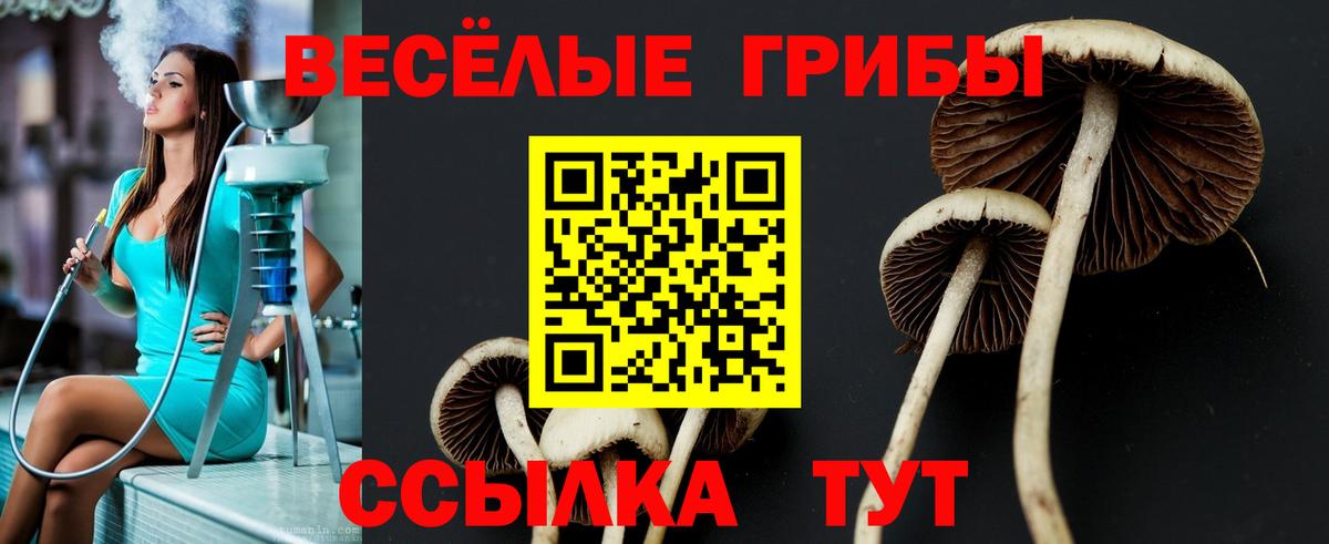 Галлюциногенные грибы MAGIC MUSHROOMS Выкса