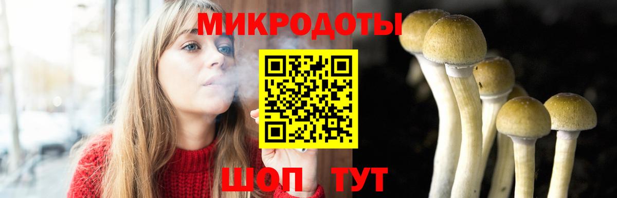что такое   Псилоцибиновые грибы прущие грибы  Вход с VPN  Выкса  Псилоцибиновые грибы мицелий 
